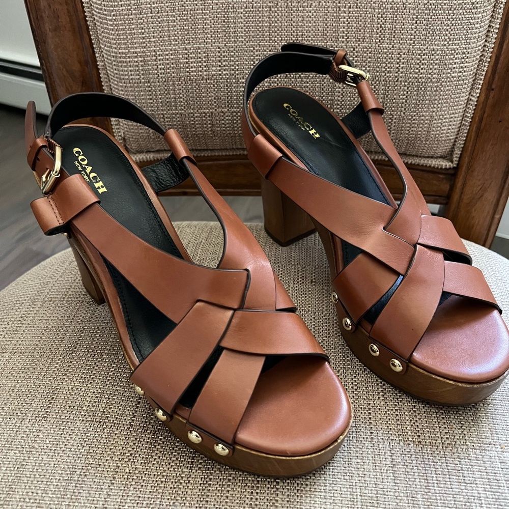 Coach Addessa Wooden Platform High Heel Sandals